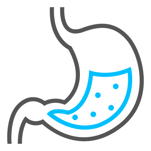 Digestion