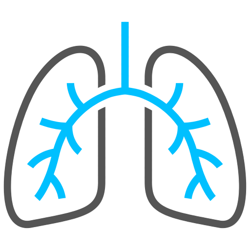 Lungs