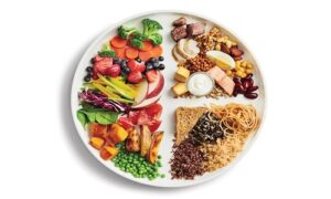 website-mتغذیه-برای-سایت