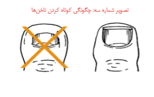 ناخن پا
