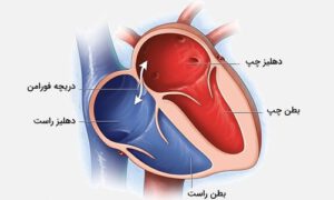 فورامن اوال باز فورامن اوال باز